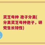 灵芝母种 孢子分离(分离灵芝母种孢子，研究生长特性)