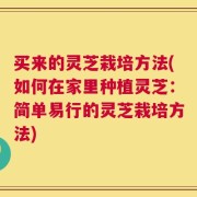 买来的灵芝栽培方法(如何在家里种植灵芝：简单易行的灵芝栽培方法)