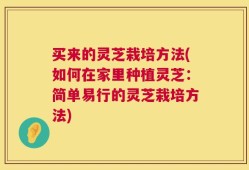 买来的灵芝栽培方法(如何在家里种植灵芝：简单易行的灵芝栽培方法)