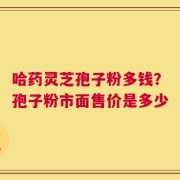 哈药灵芝孢子粉多钱？孢子粉市面售价是多少