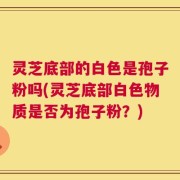 灵芝底部的白色是孢子粉吗(灵芝底部白色物质是否为孢子粉？)