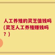 人工养殖的灵芝值钱吗(灵芝人工养殖赚钱吗？)
