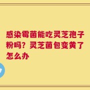 感染霉菌能吃灵芝孢子粉吗？灵芝菌包变黄了怎么办