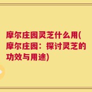 摩尔庄园灵芝什么用(摩尔庄园：探讨灵芝的功效与用途)