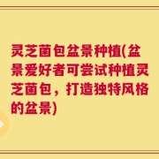 灵芝菌包盆景种植(盆景爱好者可尝试种植灵芝菌包，打造独特风格的盆景)