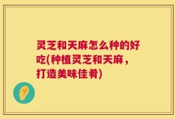 灵芝和天麻怎么种的好吃(种植灵芝和天麻，打造美味佳肴)