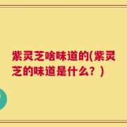 紫灵芝啥味道的(紫灵芝的味道是什么？)