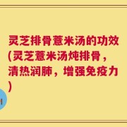 灵芝排骨薏米汤的功效(灵芝薏米汤炖排骨，清热润肺，增强免疫力)