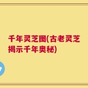 千年灵芝图(古老灵芝揭示千年奥秘)