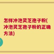 怎样冲泡灵芝孢子粉(冲泡灵芝孢子粉的正确方法)