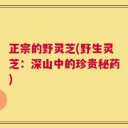 正宗的野灵芝(野生灵芝：深山中的珍贵秘药)