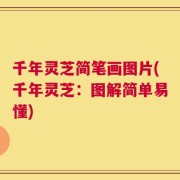 千年灵芝简笔画图片(千年灵芝：图解简单易懂)