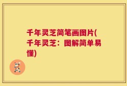 千年灵芝简笔画图片(千年灵芝：图解简单易懂)