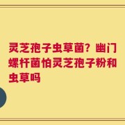 灵芝孢子虫草菌？幽门螺杆菌怕灵芝孢子粉和虫草吗