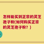 怎样能买到正宗的灵芝孢子粉(如何购买正宗的灵芝孢子粉？)