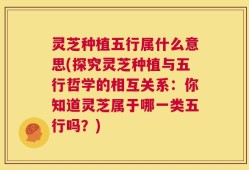 灵芝种植五行属什么意思(探究灵芝种植与五行哲学的相互关系：你知道灵芝属于哪一类五行吗？)