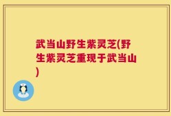武当山野生紫灵芝(野生紫灵芝重现于武当山)