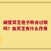 破壁灵芝孢子粉会过敏吗？血灵芝有什么作用