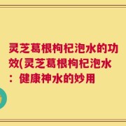灵芝葛根枸杞泡水的功效(灵芝葛根枸杞泡水：健康神水的妙用