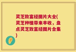 灵芝致富经图片大全(灵芝种植带来丰收，盘点灵芝致富经图片合集)