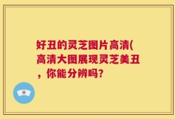 好丑的灵芝图片高清(高清大图展现灵芝美丑，你能分辨吗？