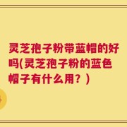 灵芝孢子粉带蓝帽的好吗(灵芝孢子粉的蓝色帽子有什么用？)