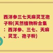 西洋参三七天麻灵芝孢子粉(天然植物粉合集：西洋参、三七、天麻、灵芝、孢子粉)