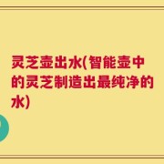 灵芝壶出水(智能壶中的灵芝制造出最纯净的水)