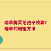 瑞草牌灵芝孢子胶囊？瑞草的培植方法