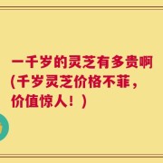 一千岁的灵芝有多贵啊(千岁灵芝价格不菲，价值惊人！)