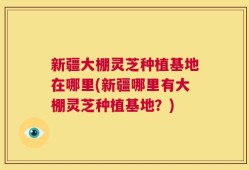 新疆大棚灵芝种植基地在哪里(新疆哪里有大棚灵芝种植基地？)