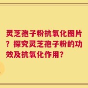 灵芝孢子粉抗氧化图片？探究灵芝孢子粉的功效及抗氧化作用？