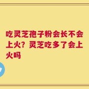 吃灵芝孢子粉会长不会上火？灵芝吃多了会上火吗