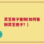 灵芝孢子鉴别(如何鉴别灵芝孢子？)