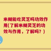 米糊能吃灵芝吗功效作用(了解米糊灵芝的功效与作用，了解吗？)