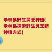 米林县野生灵芝种植(米林县探索野生灵芝新种植方式)