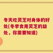 冬天吃灵芝对身体的好处(冬季食用灵芝的益处，你需要知道)