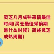 灵芝几月成熟采摘最佳时间(灵芝最佳采摘期是什么时候？简述灵芝成熟周期)