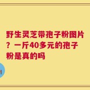 野生灵芝带孢子粉图片？一斤40多元的孢子粉是真的吗