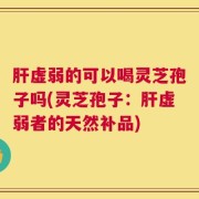 肝虚弱的可以喝灵芝孢子吗(灵芝孢子：肝虚弱者的天然补品)