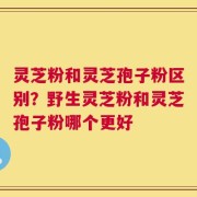 灵芝粉和灵芝孢子粉区别？野生灵芝粉和灵芝孢子粉哪个更好