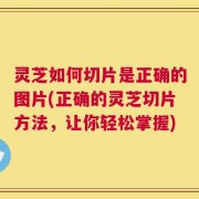 灵芝如何切片是正确的图片(正确的灵芝切片方法，让你轻松掌握)