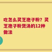 吃怎么灵芝孢子粉？灵芝孢子粉煲汤的12种做法