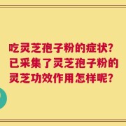 吃灵芝孢子粉的症状？已采集了灵芝孢子粉的灵芝功效作用怎样呢？