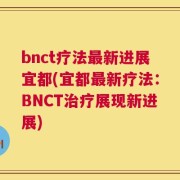 bnct疗法最新进展宜都(宜都最新疗法：BNCT治疗展现新进展)