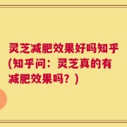 灵芝减肥效果好吗知乎(知乎问：灵芝真的有减肥效果吗？)