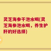 灵芝海参干泡水喝(灵芝海参泡水喝，养生护肝的好选择)