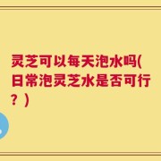 灵芝可以每天泡水吗(日常泡灵芝水是否可行？)