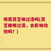 观赏灵芝喷过漆吗(灵芝被喷过漆，会影响功效吗？)