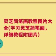 灵芝简笔画教程图片大全(学习灵芝简笔画，详细教程附图片)